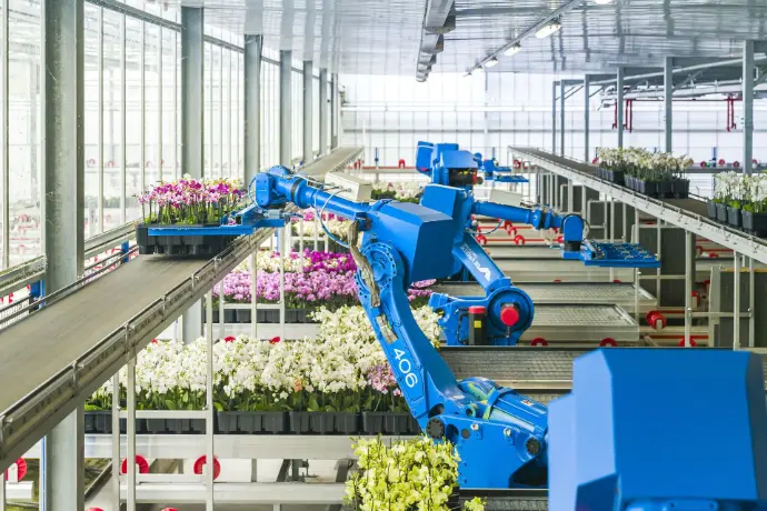 robot orchidee