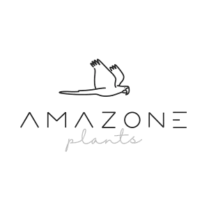 Amazone Plants