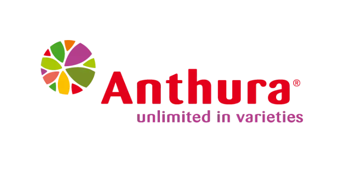 Anthura