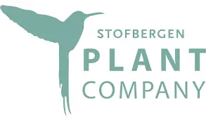 Stofbergen Plant company