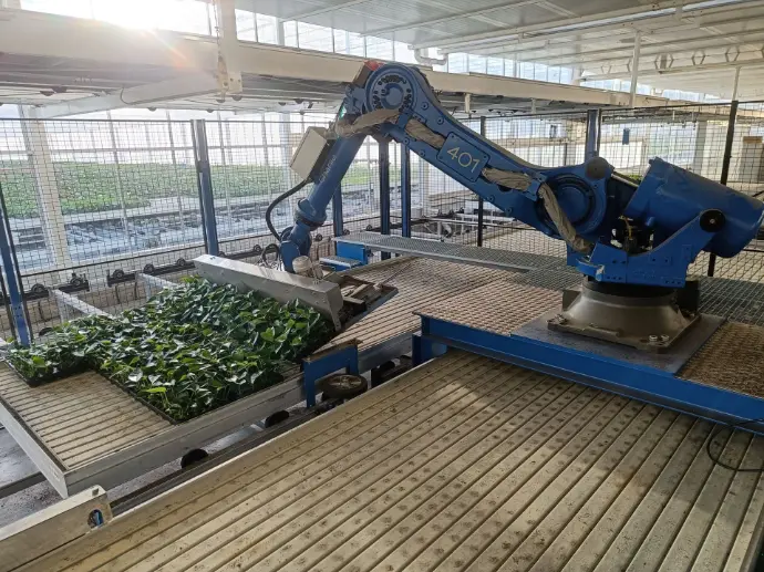 Robot glastuinbouw